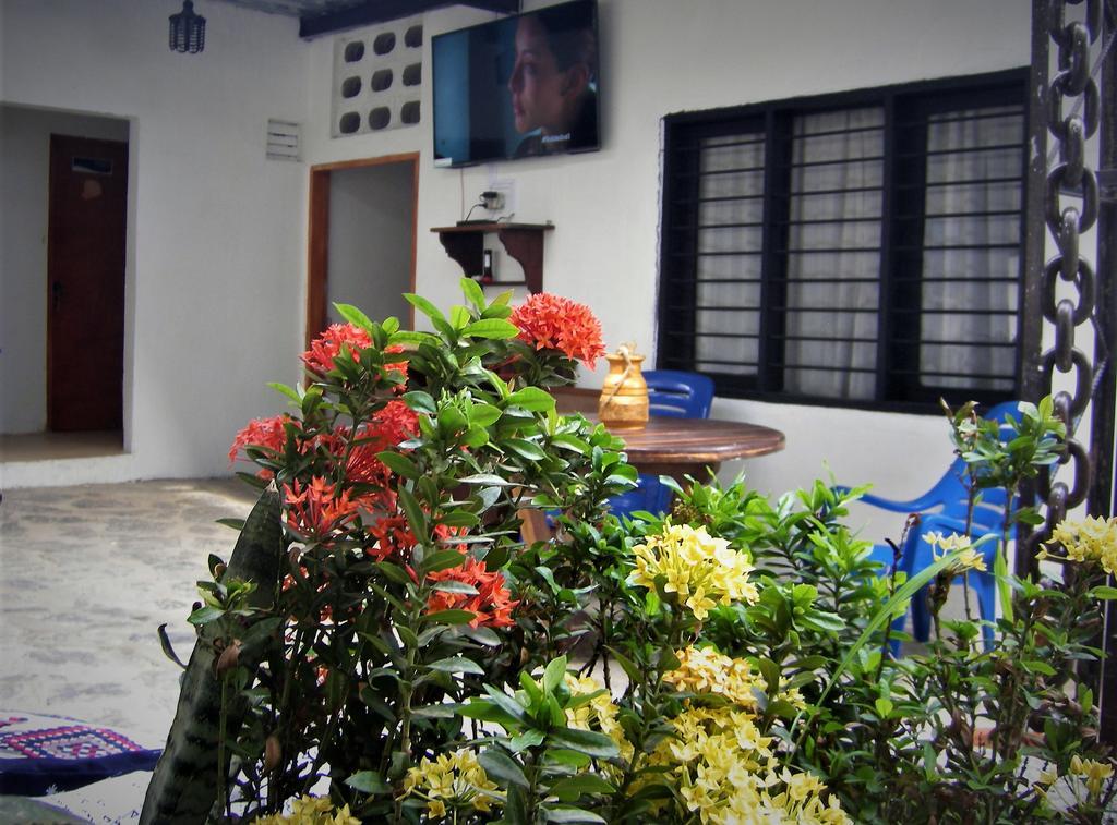 Hostal Palohe Taganga Exterior photo